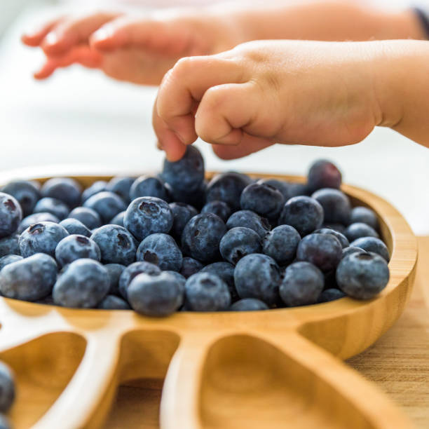 istock baby boy hands touch and take raw fresh blueberries indoor. baby exploring fruit 1140762536
