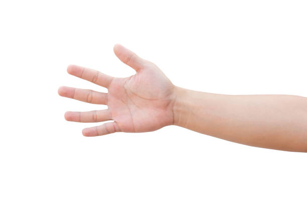 istock Man hand showing five count isolated on white background with clipping path 1140766357