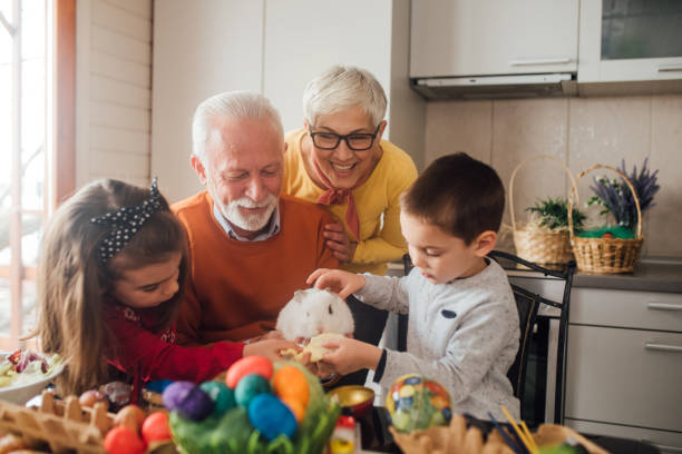 istock Kids and grandparents petting rabbit 1140772800