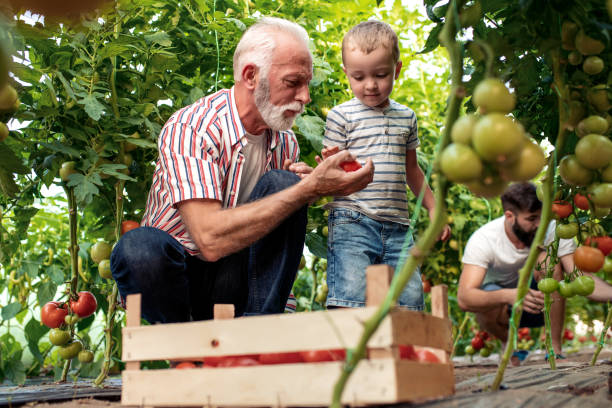 istock Family working together in greenhouse 1140773884