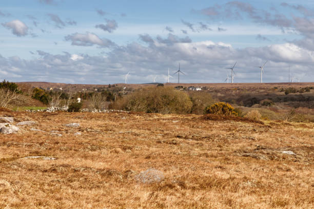istock Wind power Farm field in a bog with typical vegetation and rocks 1140774773