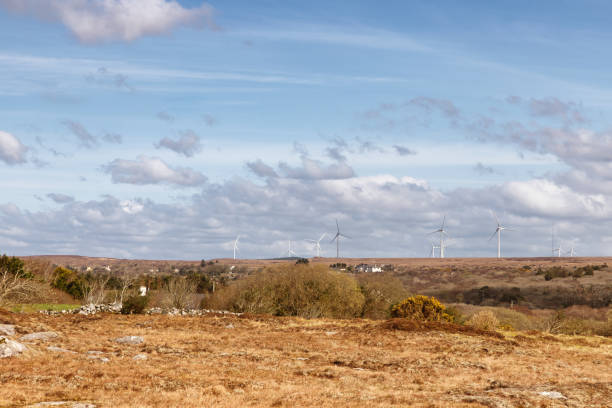 istock Wind power Farm field in a bog with typical vegetation and rocks 1140774808