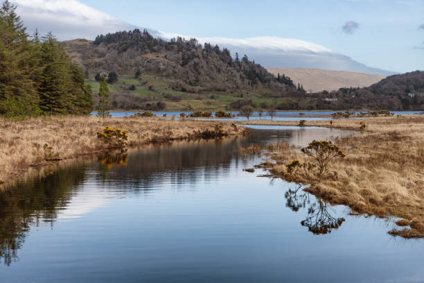 istock Forest and vegetation at Western way trail in Lough Corrib 1140777096