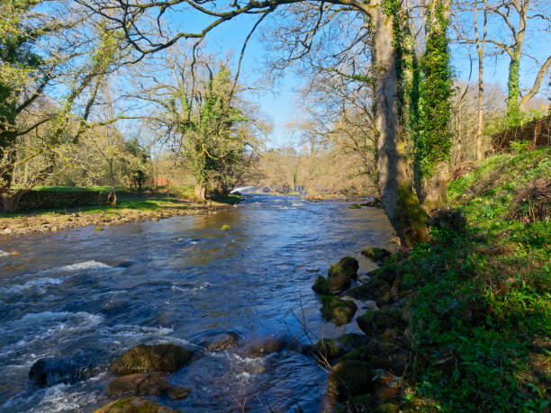 istock River Derwent flowing from a distant Calver Weir. 1140777104