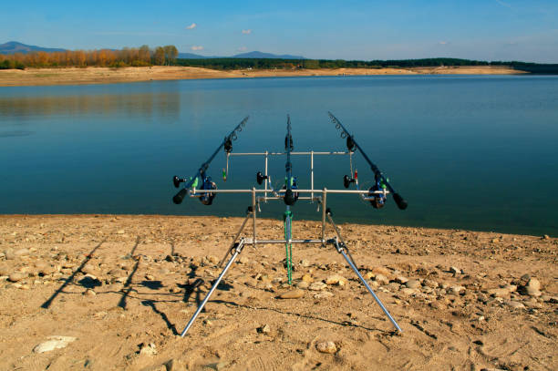 istock Carp fishing. Two angling scene. Looking along three carp rods towards a pond. 1140777810