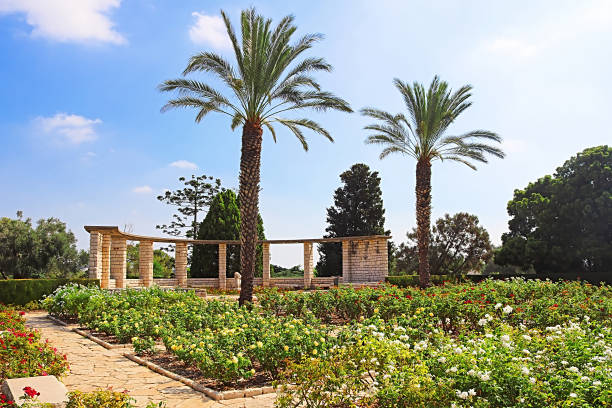ogród różany i palmy, park ramat hanadiv, izrael. park jest rodzinnym skarbcem barona edmonda de rothschilda (1845-1934) i baronowej adelaide de rothschild (1853-1935) - baroness zdjęcia i obrazy z banku zdjęć