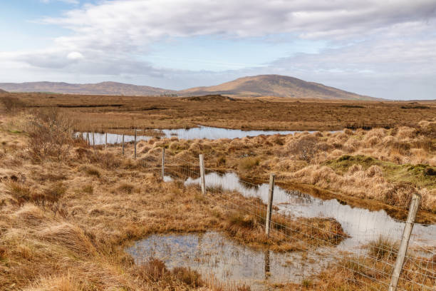 istock Conemara lake and bog with mountains in background 1140778436