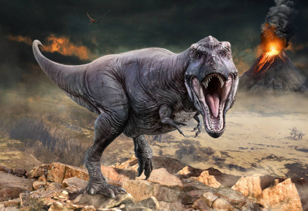 Tyrannosaurus rex scene 3D illustration stock photo