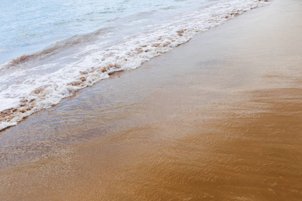 istock wet sand beach background and sea water 1140781923