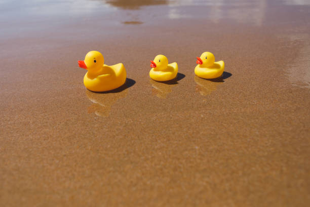 istock yellow rubber ducks on the beach 1140782662