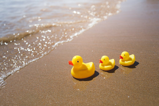 yellow rubber ducks on the beach, close-up