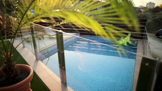 Empty swimming pool in backyard of luxury villa with palm in foreground