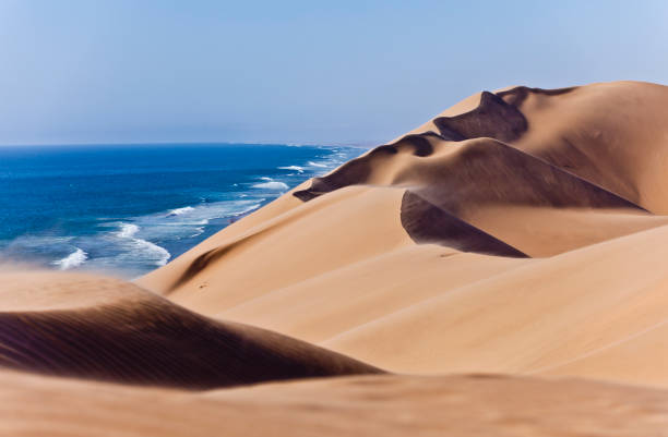 istock Dunes in Namib desert 1140785386