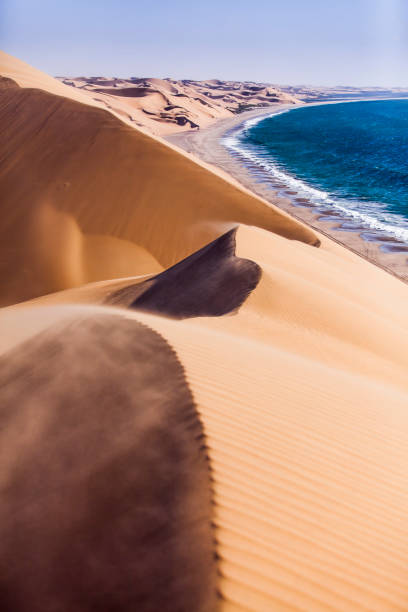 istock Dunes in Namib desert 1140785398