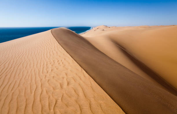 istock Dunes in Namib desert 1140785458