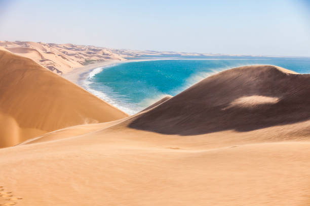 wydmy na pustyni namib - namibia sand dune namib desert desert zdjęcia i obrazy z banku zdjęć