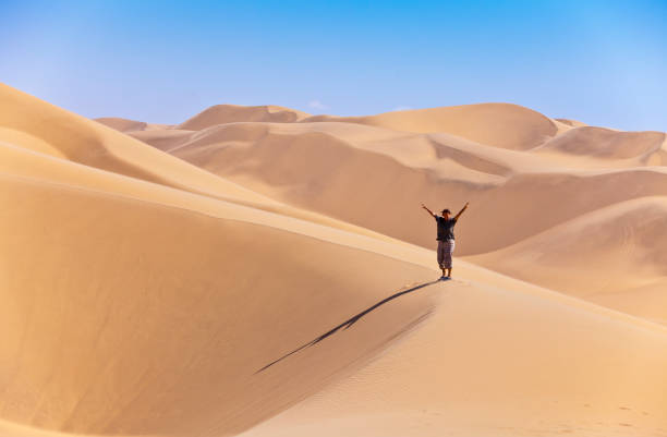 istock Sanddunes in Namib desert, Namibia 1140786944