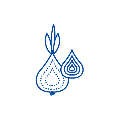 Onion line concept icon. Onion flat  vector website sign, outline symbol, illustration.