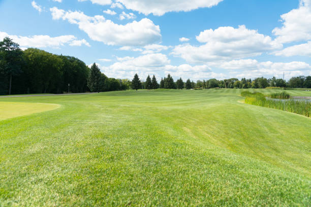 istock Scenic summer landscape with green lawns 1140788887