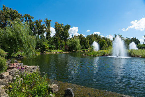 Ornamental fountains in a lake in a scenic landscaped park with rockery and woodland trees under a blue cloudy sky