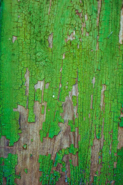 tekstura starego zardzewiałego drewna, pomalowana na zielono z plamami pierwszej warstwy drewna. - wood shutter rusty rust zdjęcia i obrazy z banku zdjęć