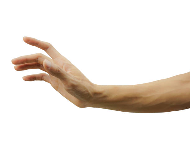 istock A man hand isolated on white background. Carefully cut out by pen tool and insert clipping path. 1140792768