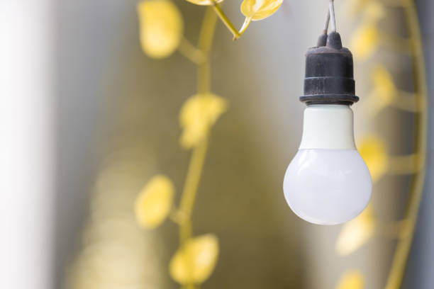 istock Light bulb in the autumn background as idea and positive thinking concept 1140793843