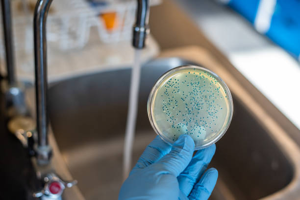 istock E. coli bacteria contamination in tap water Montreal 1140796437