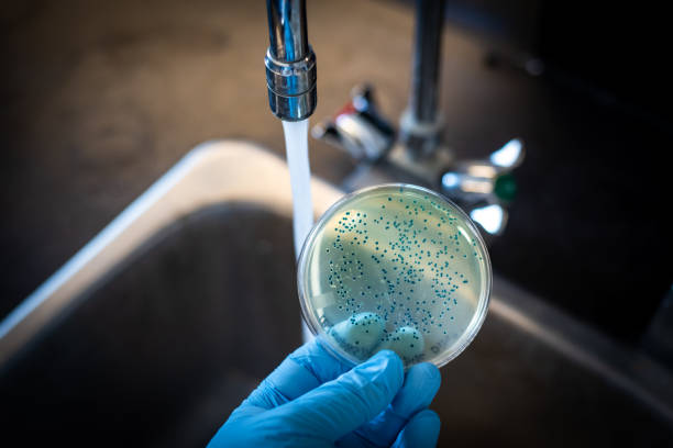 e coli bakterielle verunreinigung von versorgungswasser - cholera erkrankung stock-fotos und bilder