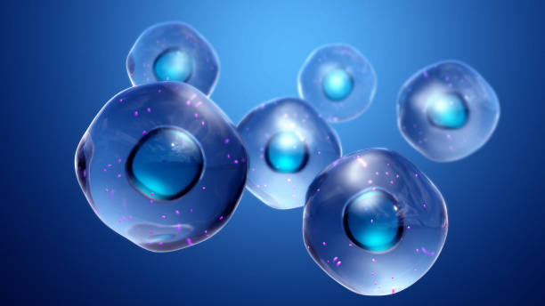 healthy cells healthy cells cell division photos stock pictures, royalty-free photos & images