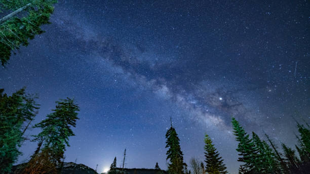 istock Milky Way Nights in Sequoia 1140802290