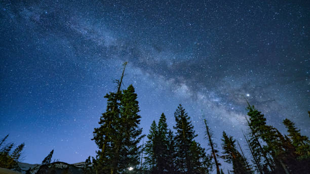 istock Milky Way Nights in Sequoia 1140803276