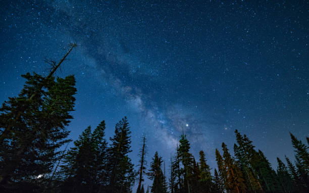 istock Milky Way Nights in Sequoia 1140803435