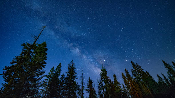 istock Milky Way Nights in Sequoia 1140803608