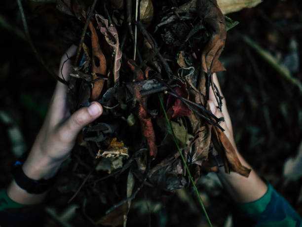 istock Women and dry leaves 1140804734