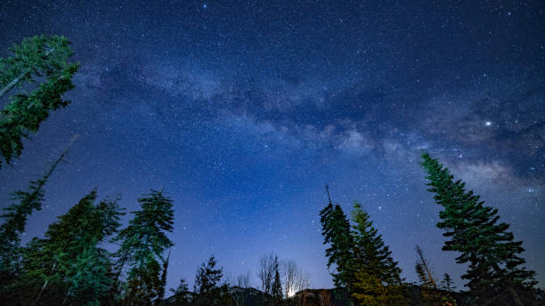 istock Milky Way Nights in Sequoia 1140804825