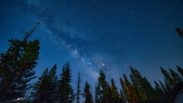 istock Milky Way Nights in Sequoia 1140805389