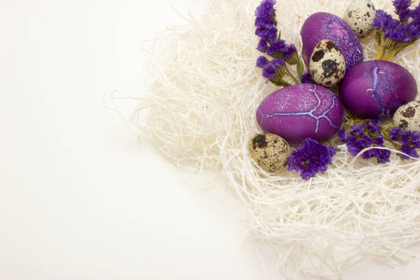 Colored chicken and quail egg in nest preparing for Easter on white background