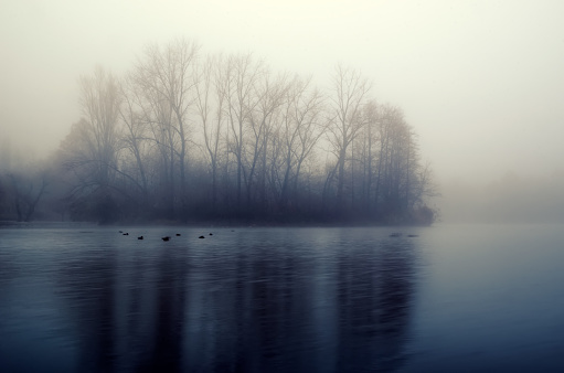 Quiet lake before dawn in the mist. Trees and lake, perfect for meditation. Mysterious and foggy night with tree silhouettes reflected in the water.