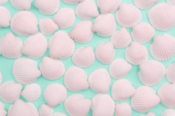 istock Summer composition with white seashells on the bright blue background 1140806870