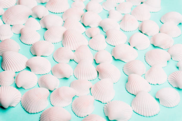 istock Summer composition with white seashells on the bright pastel green background 1140806874