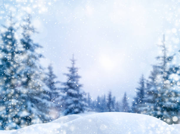 istock Winter Christmas scenic background with copy space. Blurred snow landscape with spruce branches covered with snow and glowing bokeh falling snow. 1140807228