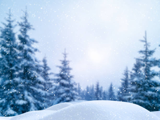 istock Winter Christmas scenic background with copy space. Blurred snow landscape with spruce branches covered with snow, snowdrifts and falling snow. 1140807231