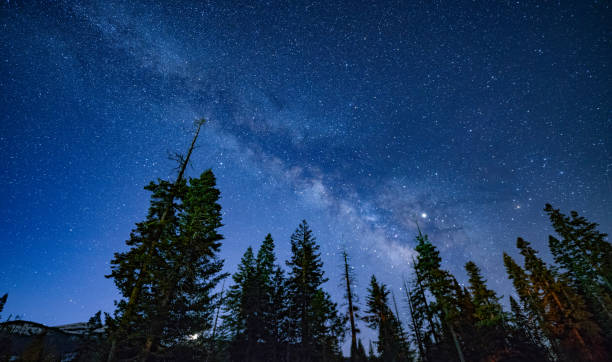 istock Milky Way Nights in Sequoia 1140808510