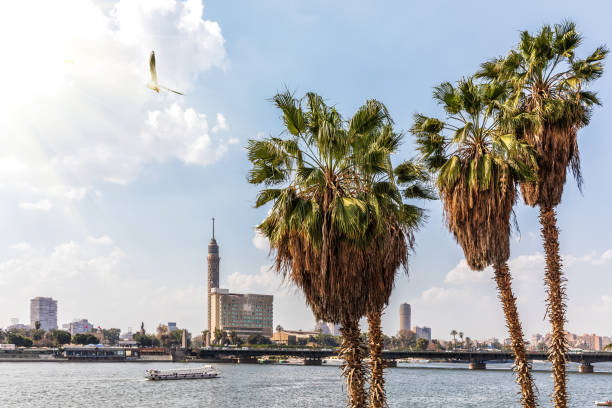istock Cairo Tower and the Nile, city view, Egypt 1140809826