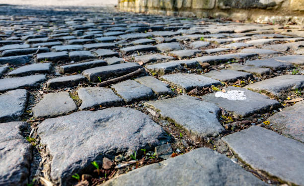 istock Flanders Cobblestone Road - Detail 1140814895