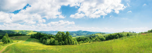 panorama de la hermosa campiña en verano - paisaje ondulado fotografías e imágenes de stock