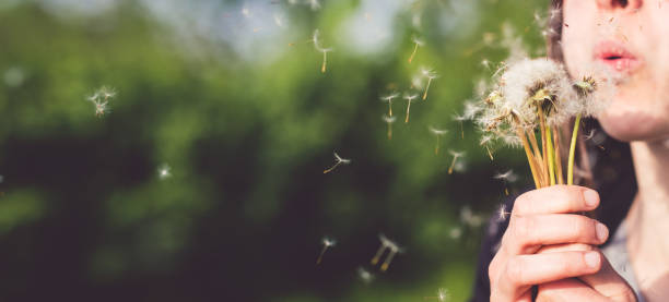 istock Young woman blows dandelion 1140817606