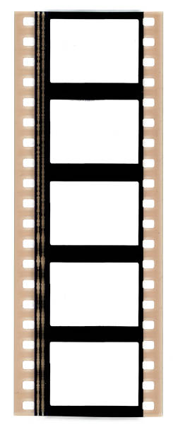 real scan of 35mm film or movie strip with empty frames or film cells real scan of 35mm film with sound waves on the side 16mm film motion picture camera photos stock pictures, royalty-free photos & images