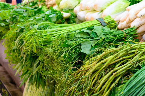 istock Various asian vegetables sell in the market 1140821726